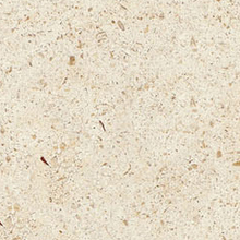 ���������S