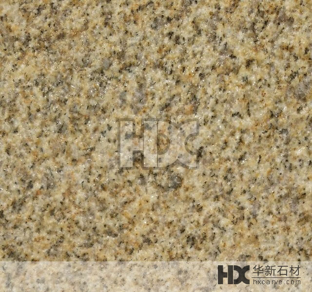 �S��������