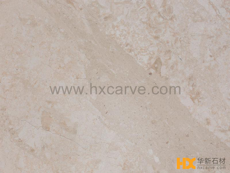 ���o���S