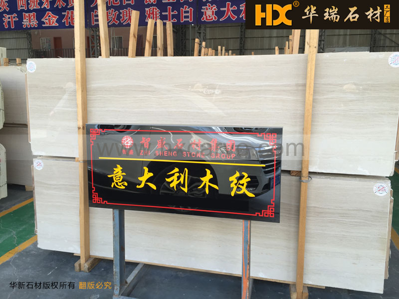 �����ľ�y