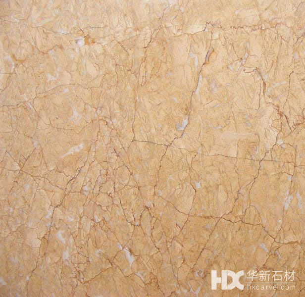 ���������S