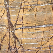 ������ �Ꭷ����